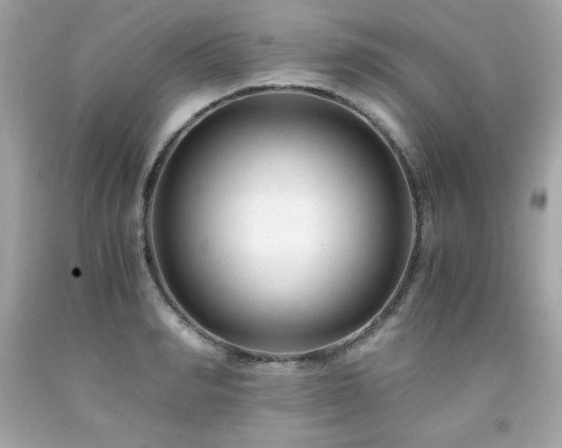 X0000091920990200709121535