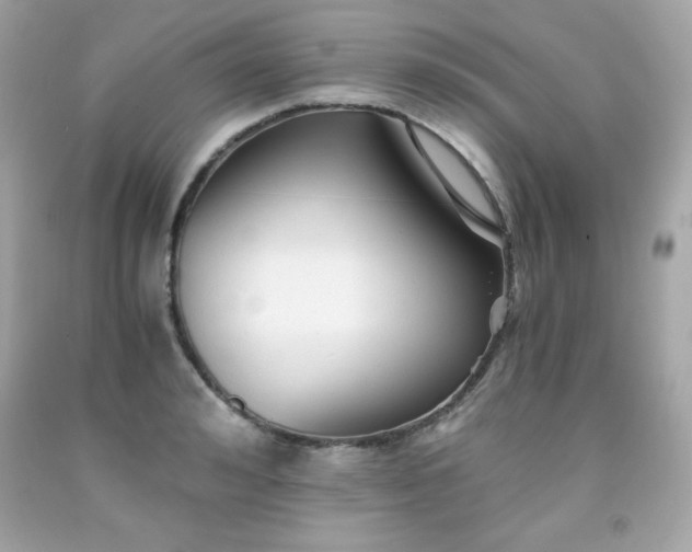 X0000091920992200709121535