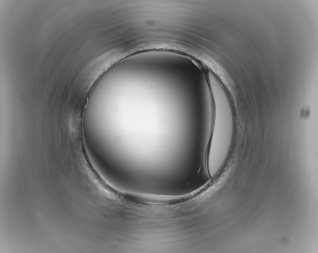 X0000091920993200709121535