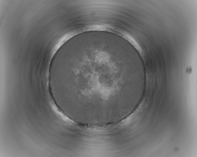 X0000091920994200709121535