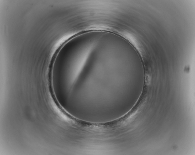 X0000091920995200709121535