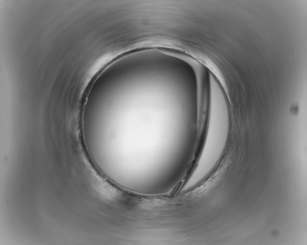 X0000091920997200709121535