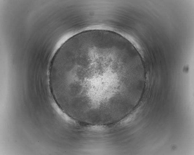 X0000091920998200709121535