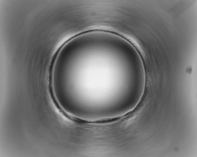 X0000091920999200709121535