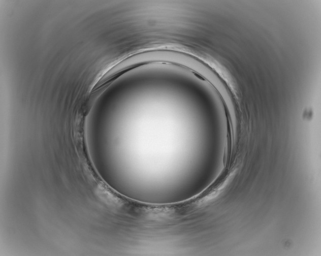 X0000091921001200709121534
