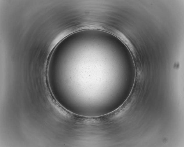 X0000091921002200709121534