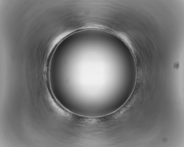 X0000091921003200709121534