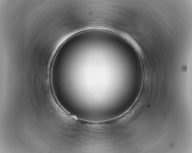 X0000091921004200709121534