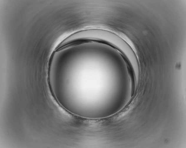 X0000091921005200709121534
