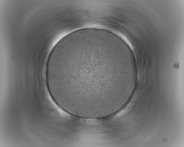 X0000091921007200709121534
