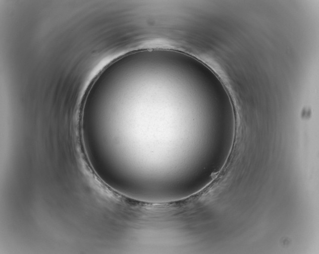 X0000091921008200709121534