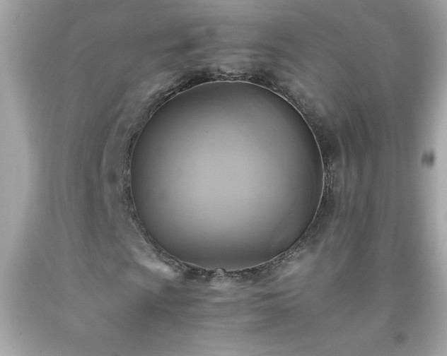 X0000091921009200709121534