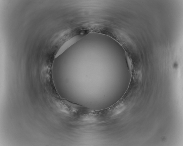 X0000091921010200709121534
