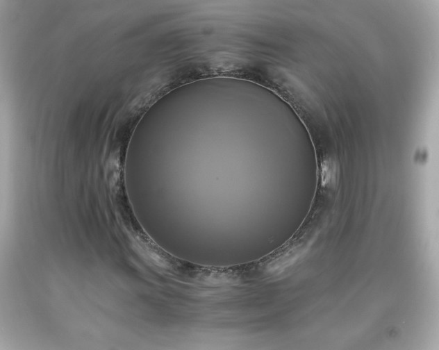 X0000091921011200709121534