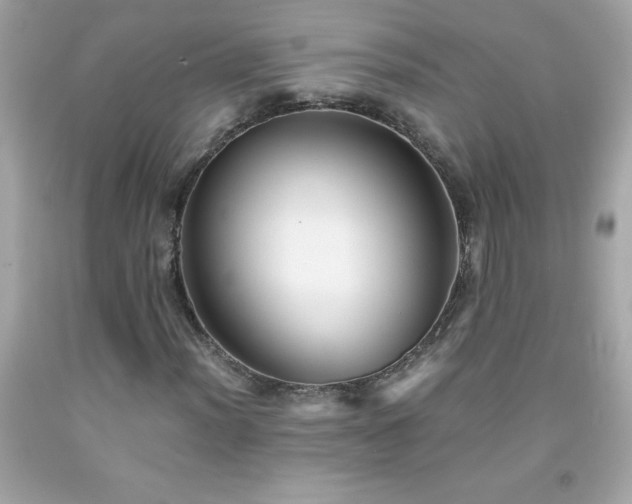 X0000091921012200709121534