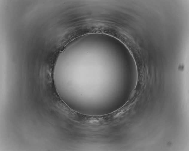 X0000091921013200709121534