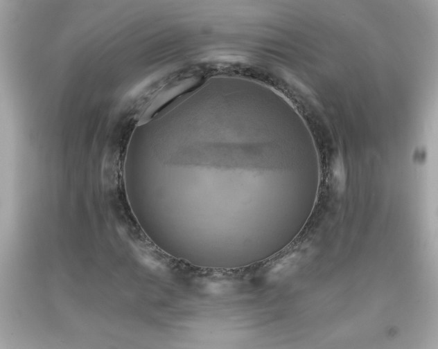 X0000091921014200709121534