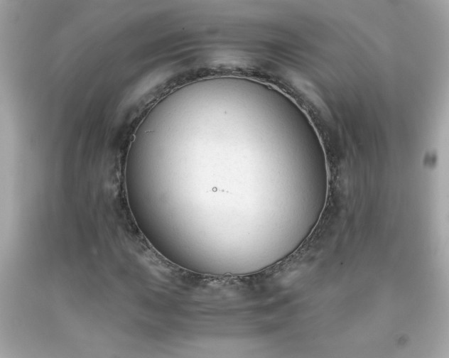 X0000091921015200709121534