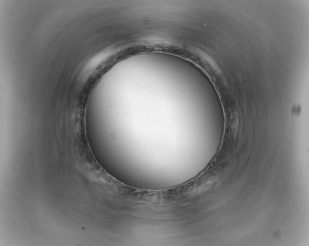 X0000091921016200709121534