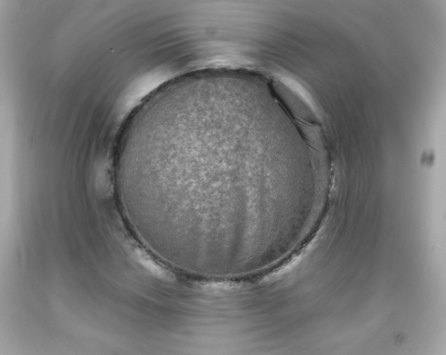 X0000091921018200709121534