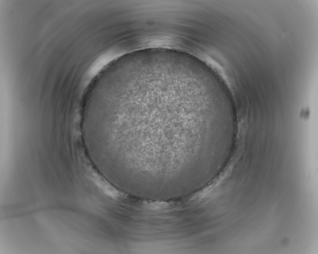 X0000091921019200709121534