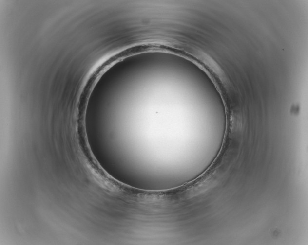 X0000091921020200709121534