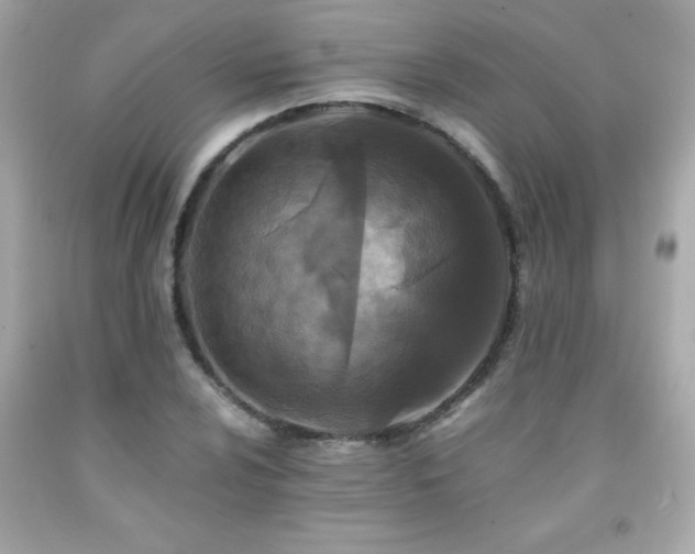 X0000091921024200709121534