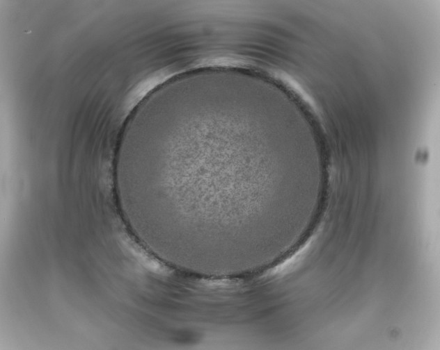 X0000091921025200709121534