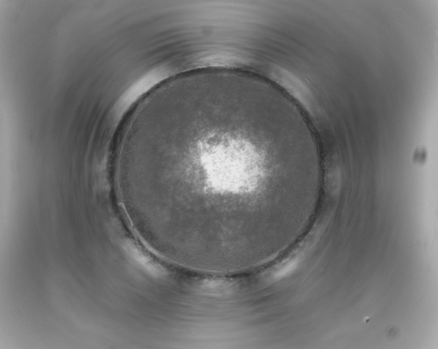 X0000091921026200709121534