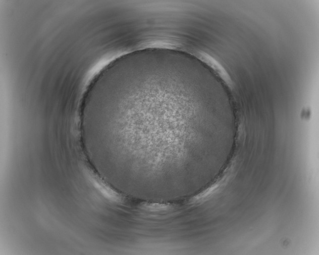 X0000091921027200709121534