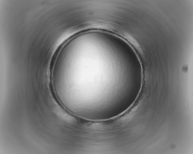 X0000091921028200709121534