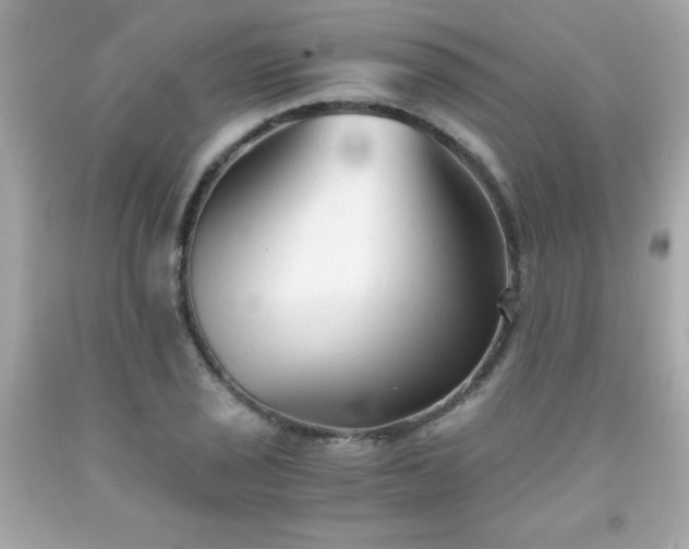 X0000091921029200709121534