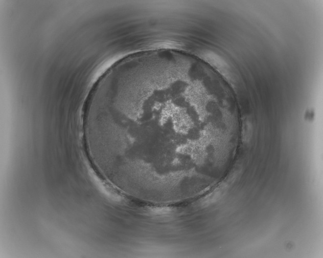 X0000091921031200709121534
