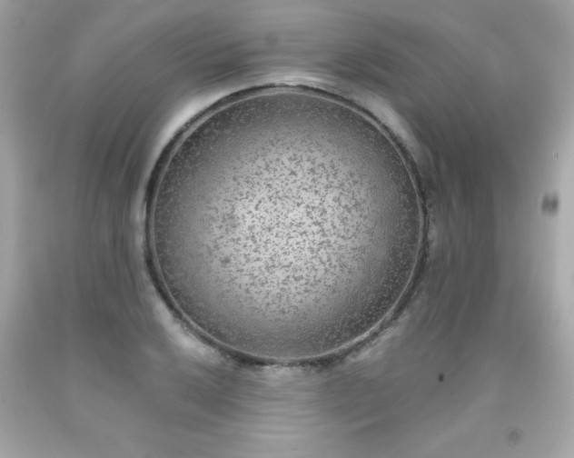 X0000091921032200709121534