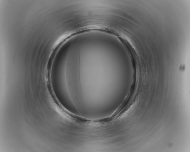 X0000091921034200709121534
