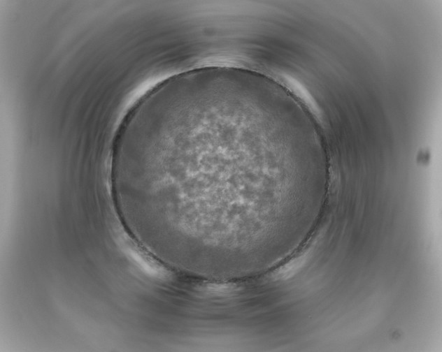 X0000091921035200709121534