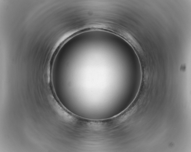 X0000091921036200709121534