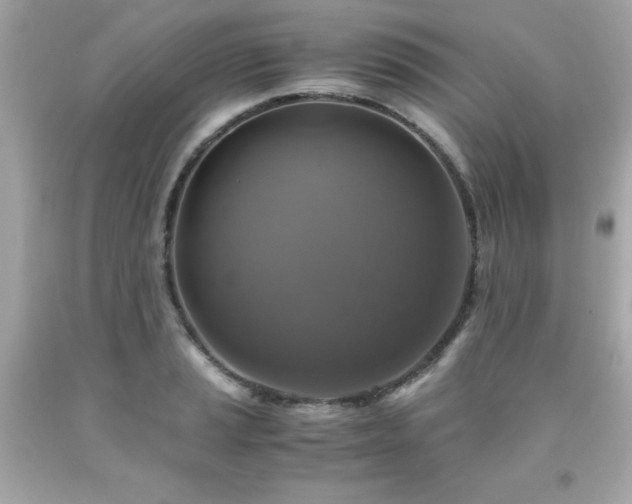 X0000091921037200709121534