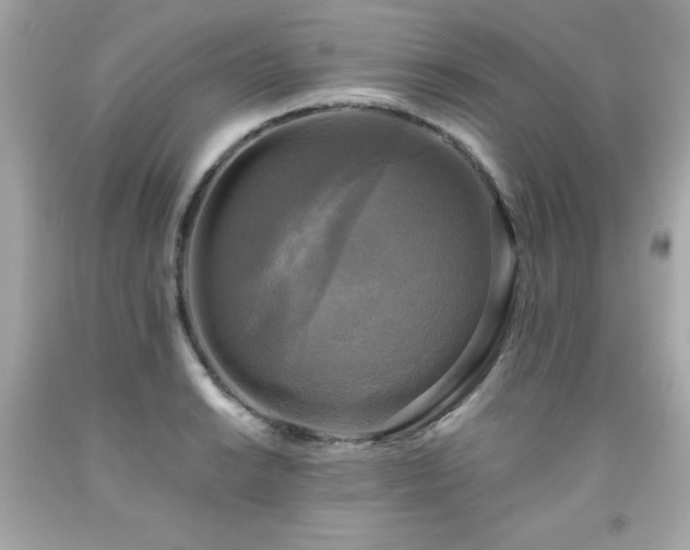 X0000091921038200709121534
