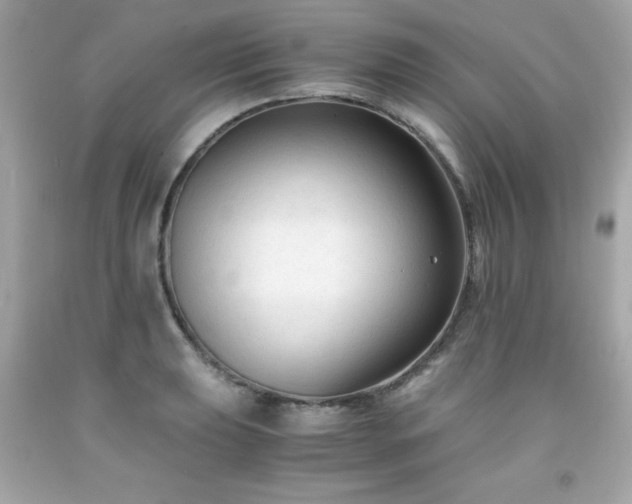 X0000091921039200709121534