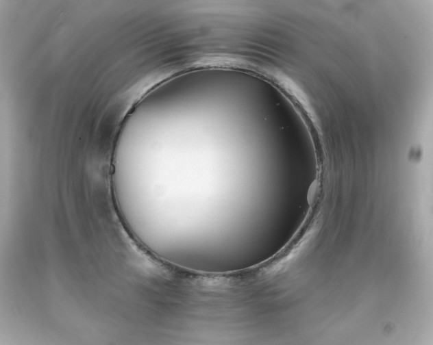 X0000091921041200709121534