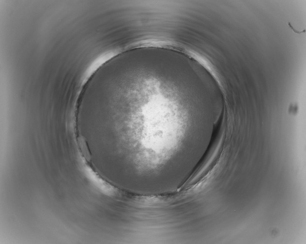 X0000091921042200709121534