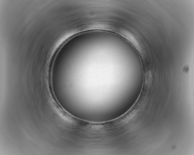 X0000091921043200709121534