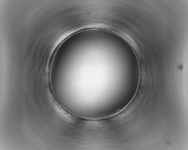 X0000091921044200709121534