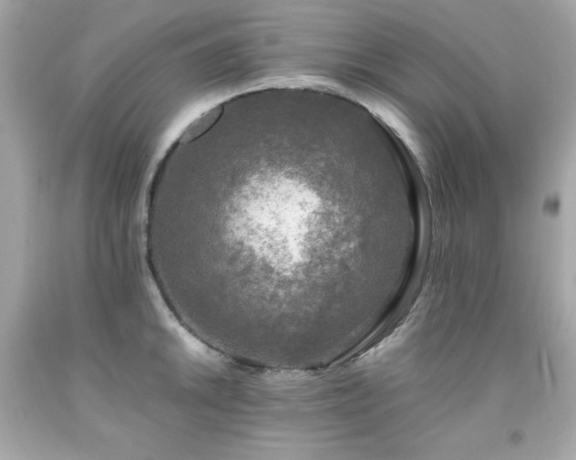 X0000091921046200709121534