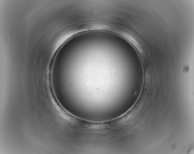 X0000091921047200709121534