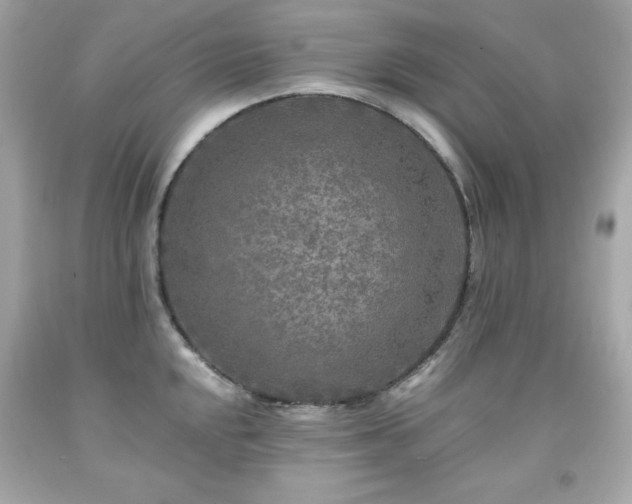 X0000091921048200709121534