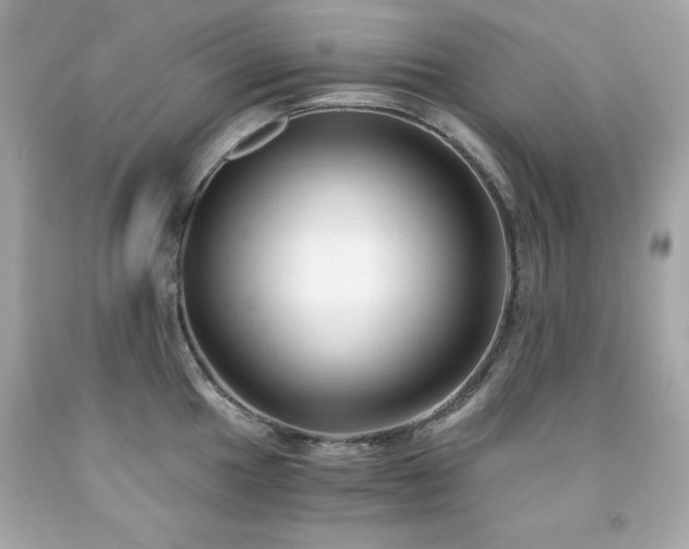 X0000091921049200709121534