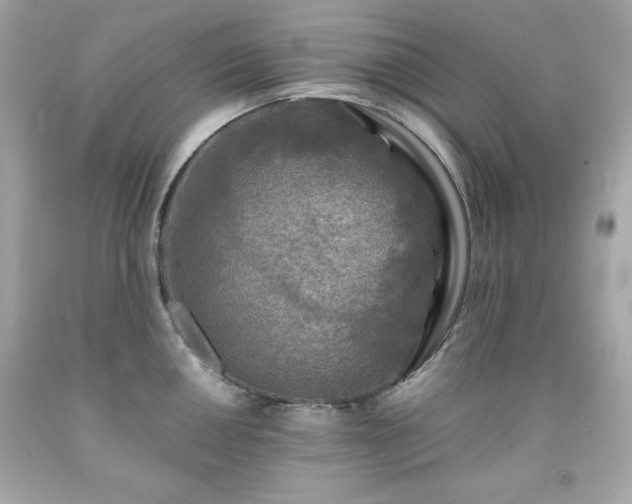 X0000091921050200709121534