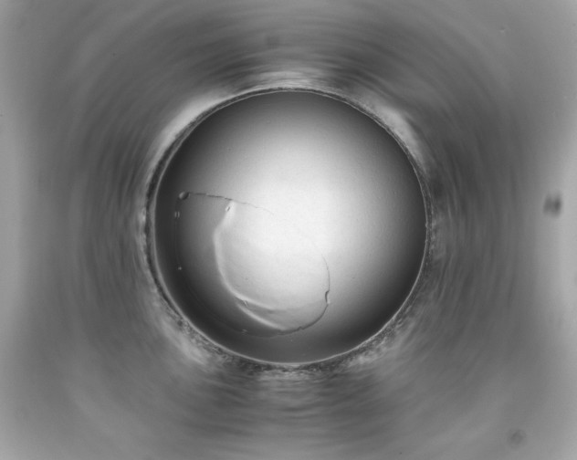 X0000091921051200709121534